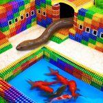 Build Swimming Pool Around Secret Underground House For Catfish Eel From Magnetic Balls (Satisfying)