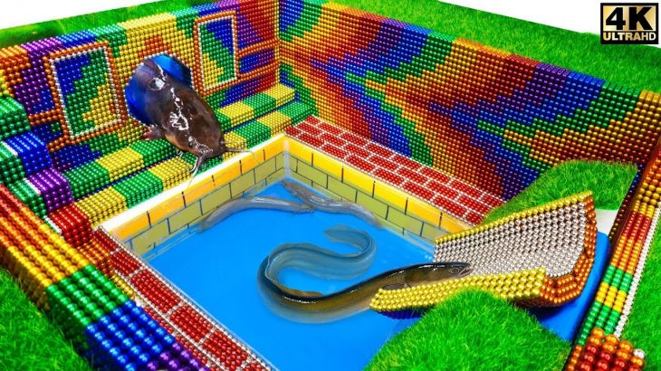 Build Swimming Pool Around The Secret Catfish Underground House From Magnetic Balls ( Satisfying )