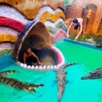 How To Build Swiming Pool Crocodile Around The Secret Underground House