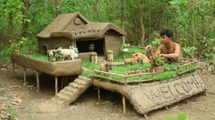 When You Build Secret Underground House | Traditional House And Swimming Pool For Dogs House