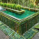 Build Technologically Modern Forest Bamboo Swimming Pool With Garden On Underground House