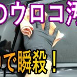 マジか！〇〇で瞬殺。車の窓やドアミラーのウロコ取り！