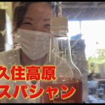 暑い夏は久住高原に限る　黒い車は磨くに限る