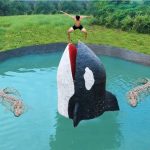 Build Most Tunnel WaterSlide To Killer Whales Swimming Pool Underground