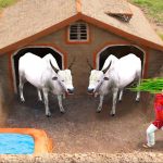 भूमिगत गाय का घर Build Underground Cow House Comedy Video हिंदी कहानिया Hindi Kahaniya Comedy Video