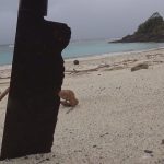 海に数年放置された刃こぼれ真っ黒錆び包丁を研ぐ