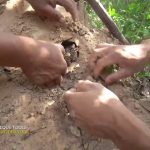 41Day Build Secret Temple Underground House And Water To Temple Tunnel Pool