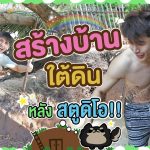 Build an underground house for the dog