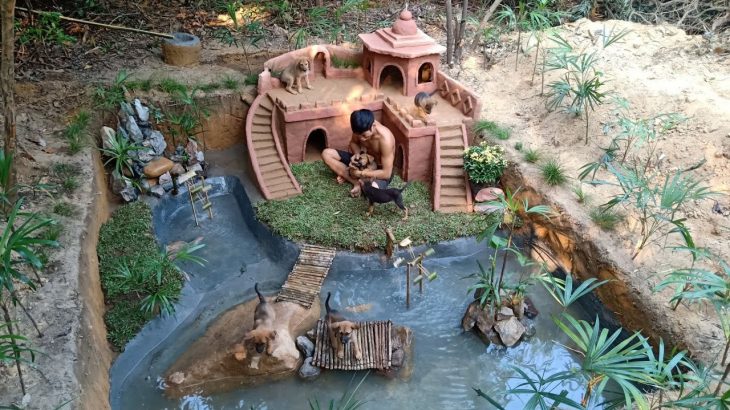 Dig and build a goldfish tank around the underground house for the abandoned puppies