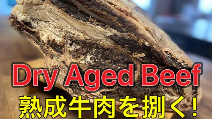 【ENG/FR SUB】【肉磨き】3ヶ月熟成牛肉を捌いてみた！ノルマンディー牛/ 3 months dry aged beef