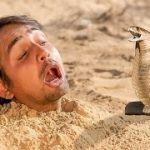 Will I Survive ? –  Deep Underground Challenge