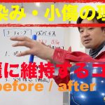 車を綺麗に維持するコツ！雨染み・小傷の理由。コーティング磨きポリッシュbefore after【コーティング専門店の見解】ポルシェ・カレラ