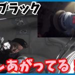 宿敵202ブラックは格安ポリッシャーで仕上がる【ノーカットでお見せします③】