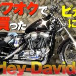 【ヤフオク衝動買いハーレー】20年前の中古バイクを全力で磨いた結果…【XL1200C】