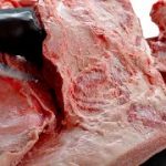 【肉磨き】20kg超えの黒毛和牛肩うで肉を包丁一本で分割  【字幕解説】