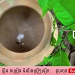 I Build Secret Temple Underground And Temple Tunnel Water Slide Swimming Pools