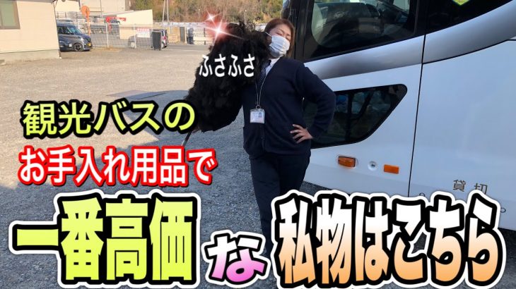 【短編動画】Twitterで反響があったので急遽動画にしました☺️