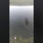 on Summer Build Temple Underground And Bath pool