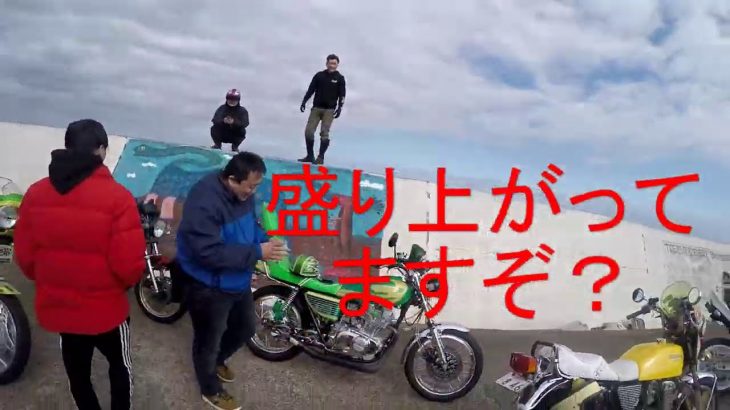 めちゃめちゃ映えるぞ！1000人画廊に旧車乗り達！