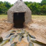 Amazing Video Build Underground House Fish Trap By Mud – Amazing Easy Underground Catfishes #A
