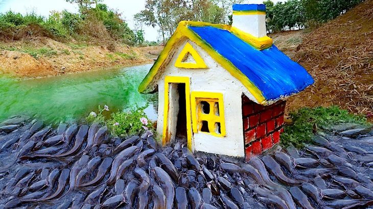 Build Underground house fish trap from Clay mud & Bamboo to catch fishes – Best Unique fishing video