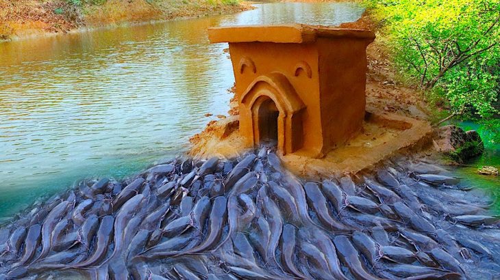 Build Underground house fish trap in the Canal – Amazing Fish house trap made from Clay Mud & Bamboo