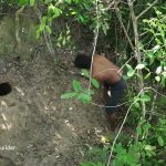 Build the most temple swimming pools underground