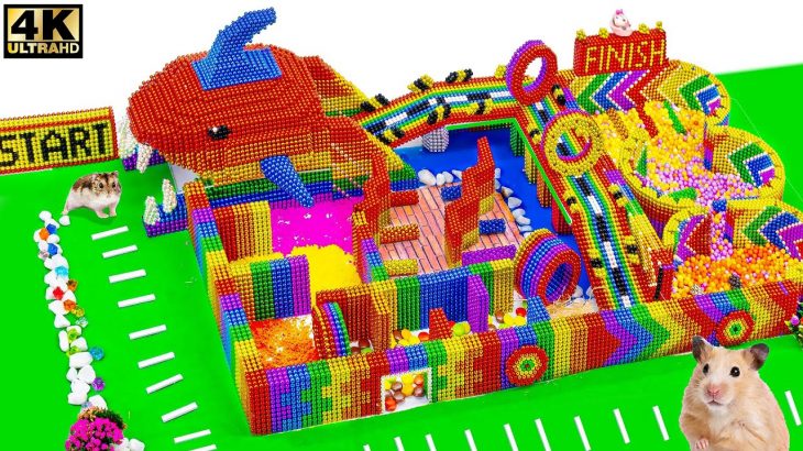 DIY – Build Amazing Shark Maze Playground For Cute Hamster From Magnetic Balls ( Satisfying )
