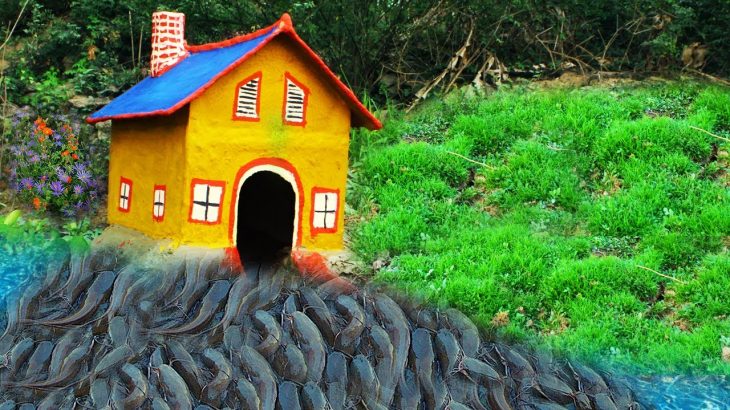 Dig hole Build Underground House Fish trap – The most beautiful house made from Clay Mud