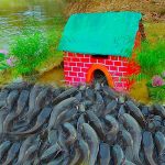 Dig hole Build Underground House Fish trap – The most beautiful underground house made from Clay Mud