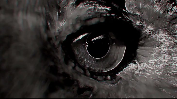 Underground House music