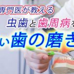 正しい歯の磨き方を歯医者さんが伝授！【愛媛県松山市カナザキ歯科】