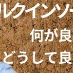 【超FIT】コルクインソールの良さを靴磨き職人が解説！