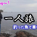 GO TO一人旅！2泊3日の釣り車中泊の旅 in 佐渡島①