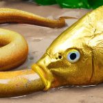 Golden Carp eel – Stop Motion ASMR Big Underground Primitive Experiment Cooking | Unusual Cooking