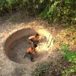 How To Build Survival Secret Underground House #shorts