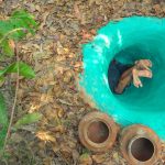 How To Building Temple Secret Underground And Bath Swimming Pools