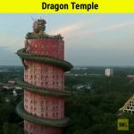 fish biulding and dragon temple top 2 acts #shorts#facts
