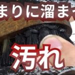 溜まった汚れを一気にスッキリ。靴磨き職人が靴磨きブラシを洗浄