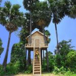 Build The Most Beautiful Palm Tree Bamboo House in Jungle by Ancient Skills