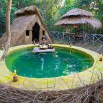 Girl Survival Bushcrafts Build The Most Beautiful Round Swimming Pool for My Lovely Shelter