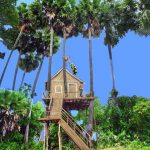 How To Build The Most Beautiful Bamboo Palm Tree House in Jungle by Ancient Skills