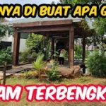 KOLAM YANG SEBELUMNYA GUA PELIHARA IKAN SEKARANG SUDAH TERBENGKALAI