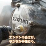 【バイク】スポーク＆エンジン磨き。「ST250E」
