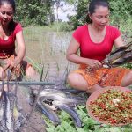 Survival in forest: Catch fish in Mud lake for food – Grilled fish with Salt chili for Lunch ideas