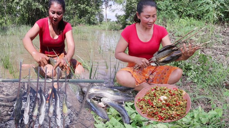 Survival in forest: Catch fish in Mud lake for food – Grilled fish with Salt chili for Lunch ideas