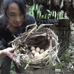 The First Eggs of the wild Chickens, Wilderness Alone, Episode 134