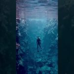 Water Diving | Swimming In Pool | Rearch In Water | #waterdiving #swimminginpool #shorts