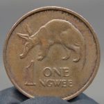 ブタ磨き ZAMBIA ONE NGWEE