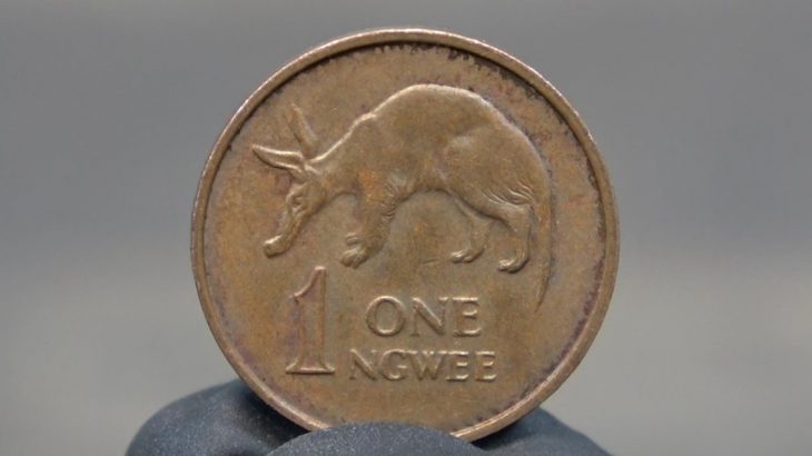 ブタ磨き ZAMBIA ONE NGWEE